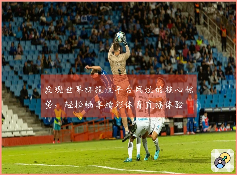 发现世界杯投注平台网址的核心优势，轻松畅享精彩体育直播体验