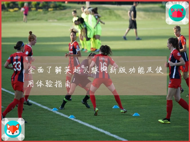 全面了解英超买球网新版功能及使用体验指南