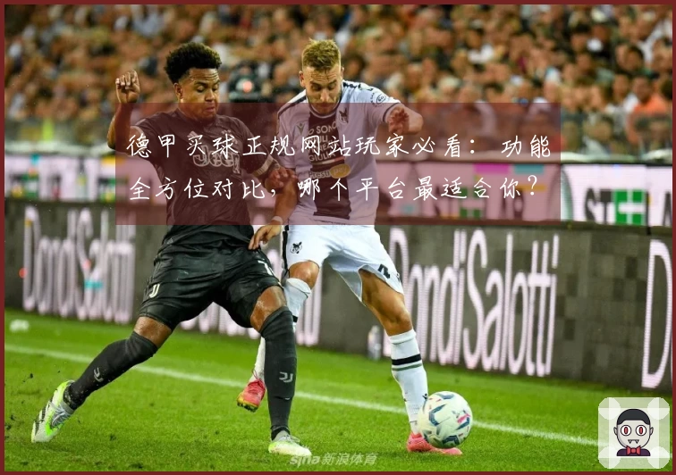 德甲买球正规网站玩家必看：功能全方位对比，哪个平台最适合你？