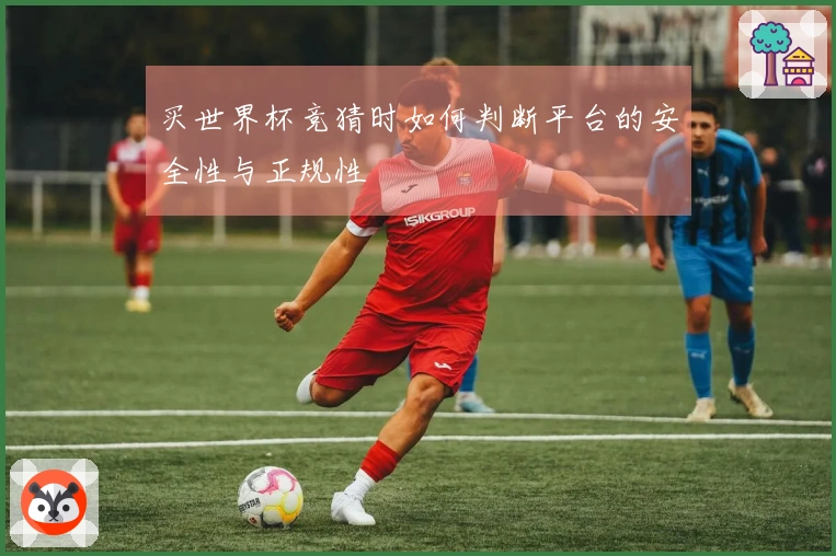 买世界杯竞猜时如何判断平台的安全性与正规性