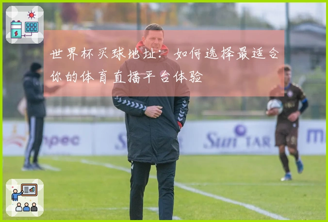 世界杯买球地址：如何选择最适合你的体育直播平台体验