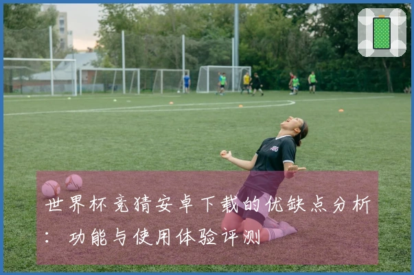 世界杯竞猜安卓下载的优缺点分析：功能与使用体验评测