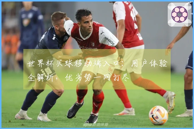 世界杯买球移动端入口：用户体验全解析，优劣势一网打尽