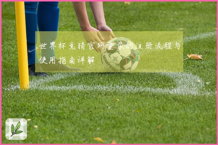 世界杯竞猜官网登录的注册流程与使用指南详解