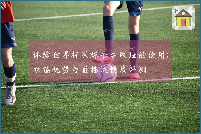 体验世界杯买球平台网址的使用：功能优势与直播流畅度评测