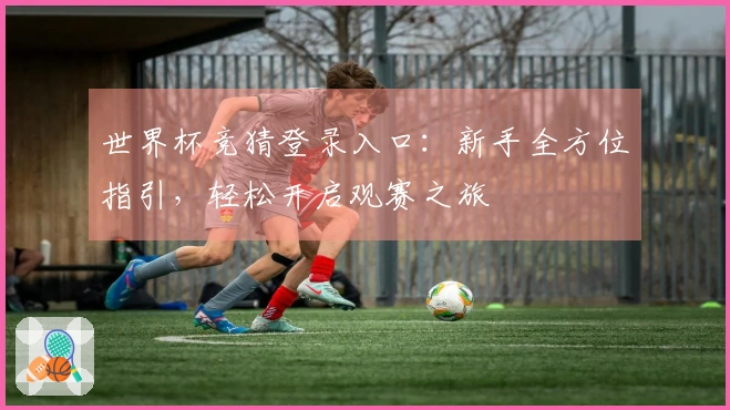 世界杯竞猜登录入口：新手全方位指引，轻松开启观赛之旅