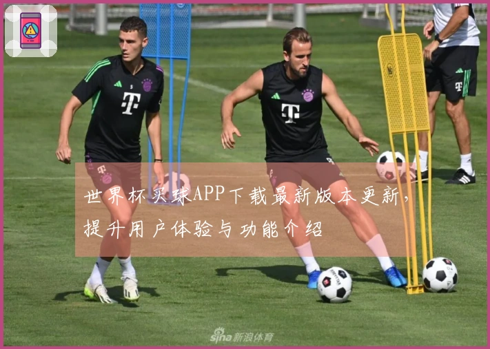 世界杯买球APP下载最新版本更新，提升用户体验与功能介绍