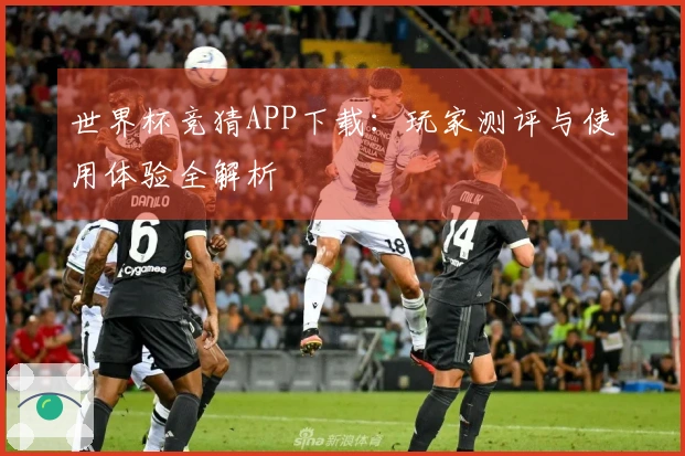 世界杯竞猜APP下载：玩家测评与使用体验全解析