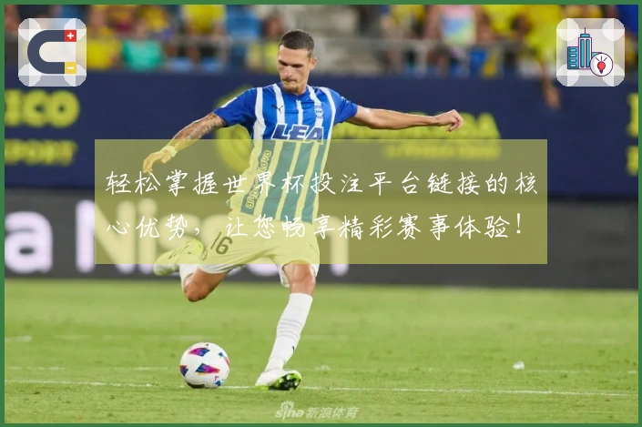 轻松掌握世界杯投注平台链接的核心优势，让您畅享精彩赛事体验！